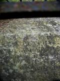 image of grave number 144716